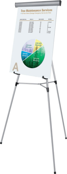 Image 1 of Flex Professional Display Easel