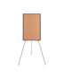 Image 0 of New Generation A9 Cork Display Easel