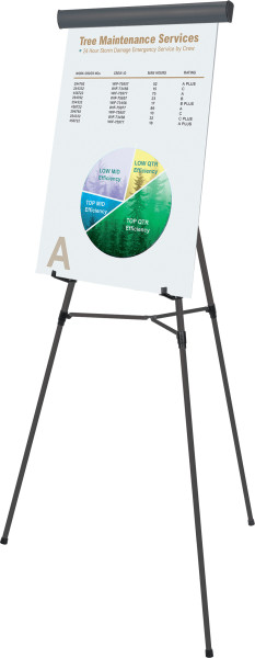 Image 0 of Flex Professional Display Easel