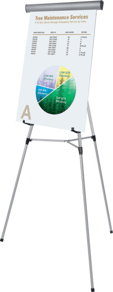 Image 1 of Flex Standard Display Easel