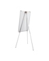 Image 2 of Biofusion Tripod Easel